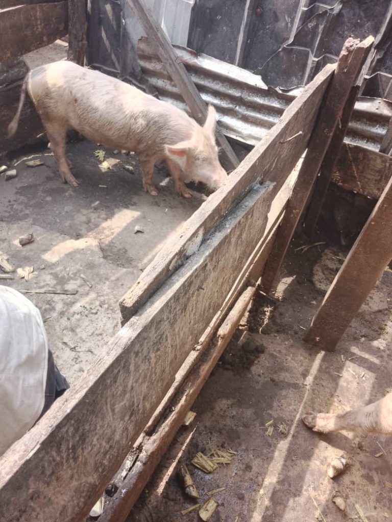 africa-project-support